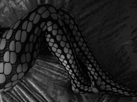 ओन्लीफैंस हैडर चित्र haley-flash