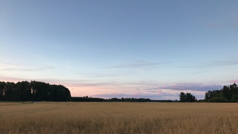 صورة رأس OnlyFans hanna_panda