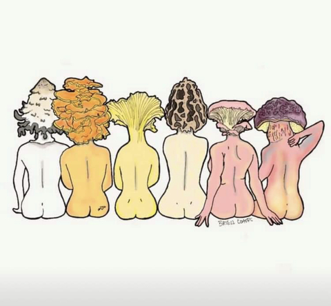 OnlyFans header picture hannahsammich