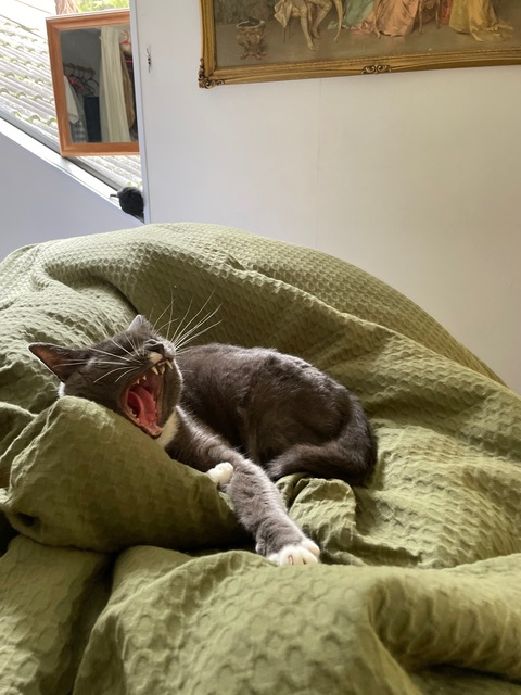 OnlyFansヘッダー画像heavenlytreasure2