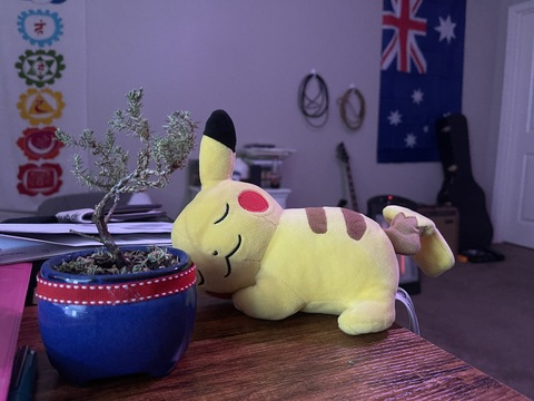 OnlyFans header picture hi_im_kip