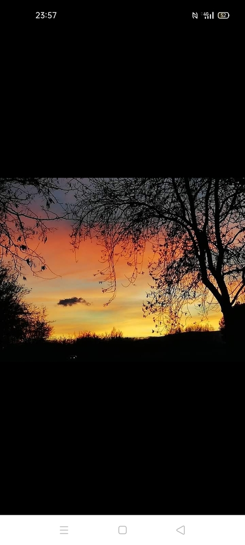 ओन्लीफैंस हैडर चित्र hippitekk