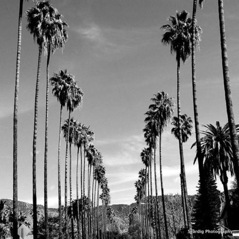 OnlyFans header picture holewrecker69