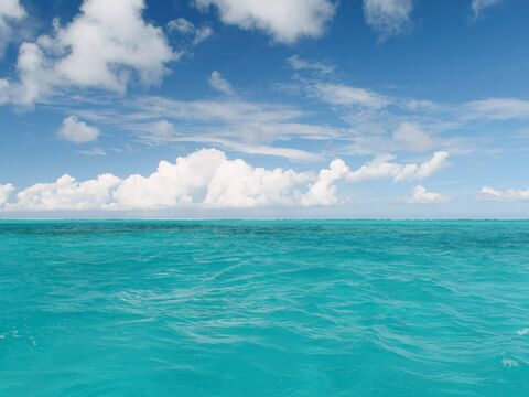 howipaymyrent님의 OnlyFans 헤더 사진