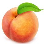 OnlyFans profile picture hugefatbum