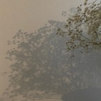 OnlyFans प्रोफाइल चित्र ienfelloryy