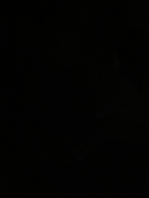 ieshaaarenayyy님의 OnlyFans 헤더 사진