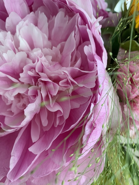 صورة رأس OnlyFans iidaketola