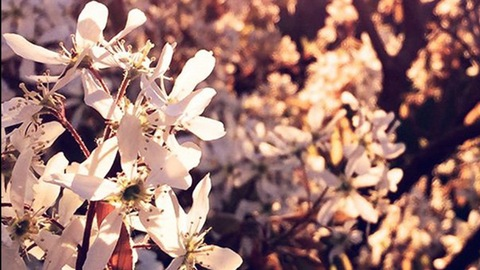 Photo d'en-tête OnlyFans de iitskissa