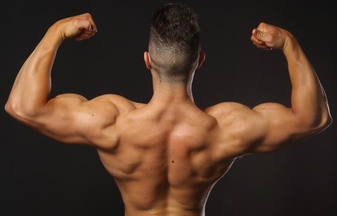 Immagine dell'header di OnlyFans imperialmusclefree