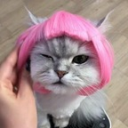 OnlyFans profile picture imqueenlia