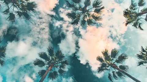 OnlyFans header picture inkrbs