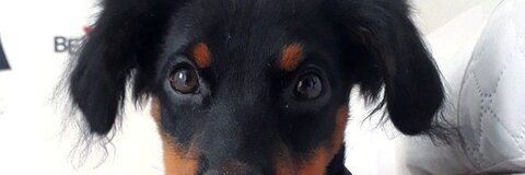 OnlyFans başlık resmi isadora