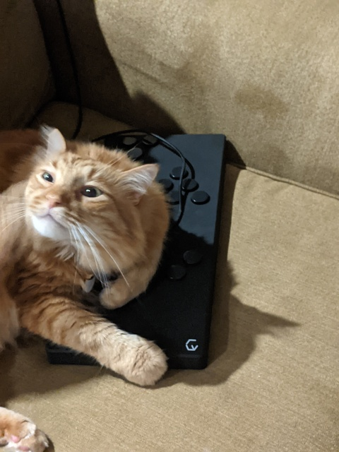 صورة رأس OnlyFans italiabutnsfw