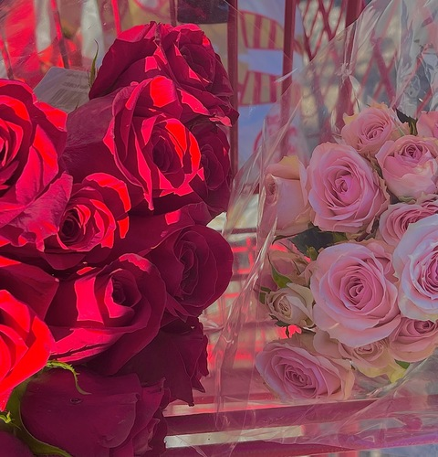 ओन्लीफैंस हैडर चित्र jadelove.xo