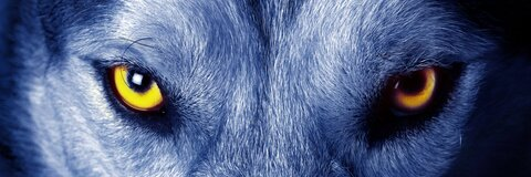 OnlyFansヘッダー画像jaimex_rks