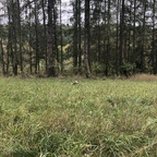 OnlyFans profile picture janesocks7