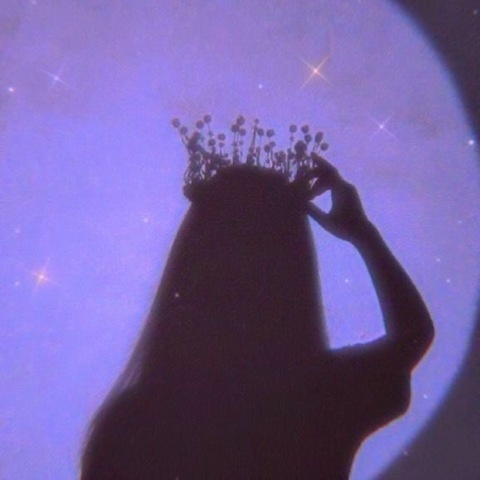 jenniicasas님의 OnlyFans 헤더 사진