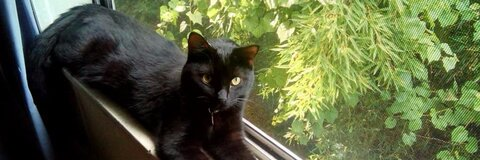 OnlyFans header picture jesskitti