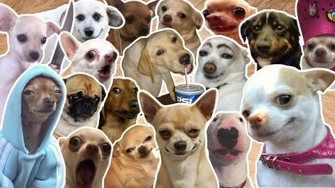 Снимка за заглавие на OnlyFans jesuck