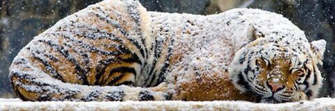 OnlyFans header picture jiangengz