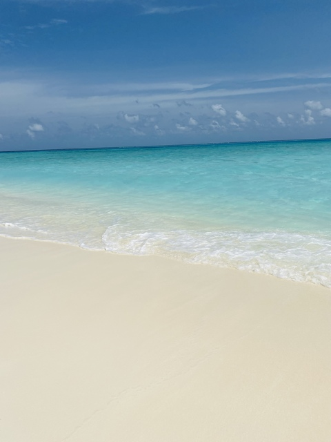 صورة رأس OnlyFans joicoleart