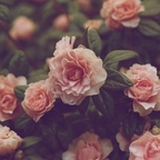 صورة الملف الشخصي في OnlyFans #اسم_المستخدم#