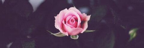 ओन्लीफैंस हैडर चित्र jordyn