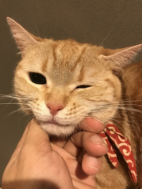 Zdjęcie nagłówka OnlyFans joykimforyou