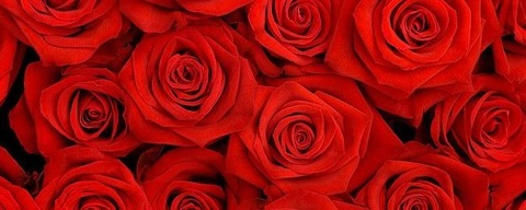 OnlyFans Titelbild kaiju.rose