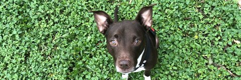 OnlyFans Titelbild kailieyeager7