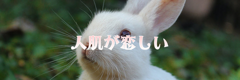 Снимка за заглавие на OnlyFans kandainayura