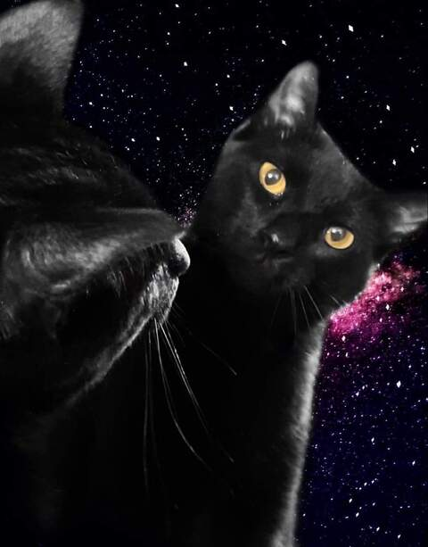 صورة رأس OnlyFans katthegat