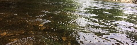 OnlyFans başlık resmi kaykay64030231