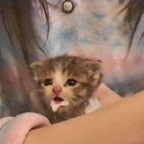 صورة الملف الشخصي في OnlyFans #اسم_المستخدم#