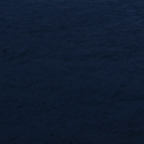 Профилна снимка на OnlyFans на kira_lotoss_video