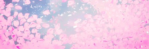 Header afbeelding van OnlyFans kittengore