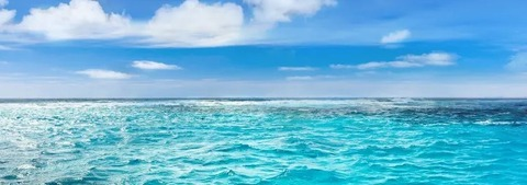 Immagine dell'header di OnlyFans kittensparadise