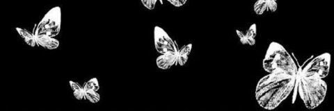 OnlyFans header picture kittenzclawz