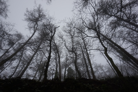 Header afbeelding van OnlyFans krislilli