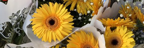 ladylibelula님의 OnlyFans 헤더 사진