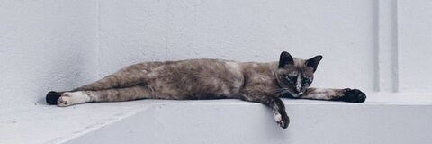 ओन्लीफैंस हैडर चित्र lai91640829