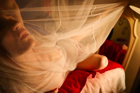 Снимка за заглавие на OnlyFans lankyskank