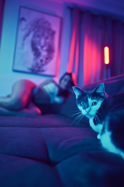 صورة رأس OnlyFans laurine.09l