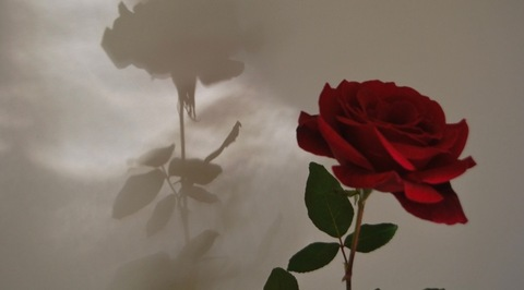 Gambar header OnlyFans laylala123