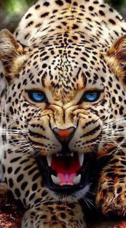 Header afbeelding van OnlyFans lcpeachez88