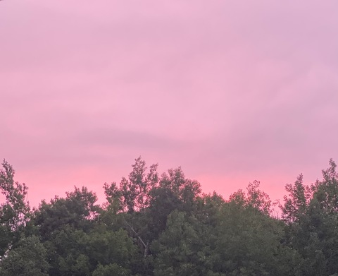 Imagem do cabeçalho do OnlyFans de leighamaeroa