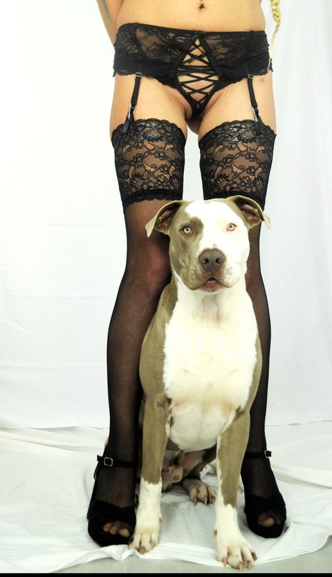 Photo d'en-tête OnlyFans de leirevillar