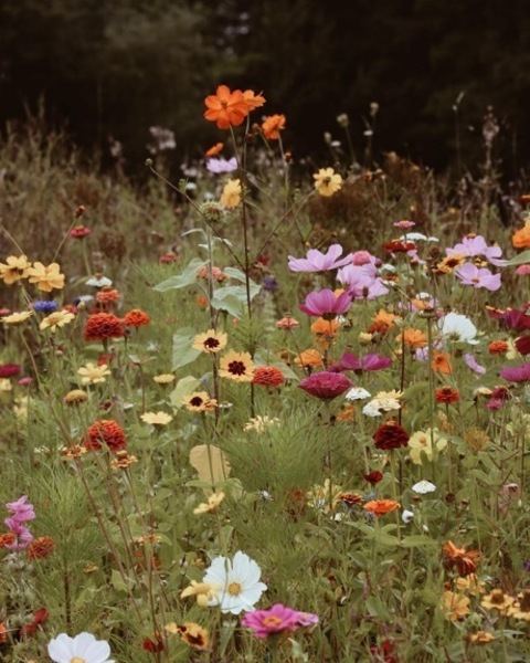 Снимка за заглавие на OnlyFans lexasharp