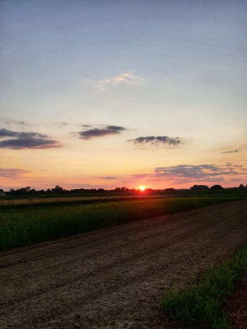 OnlyFans header picture likeapinkpanther